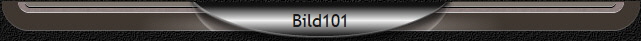 Bild101
