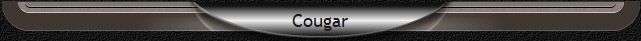 Cougar