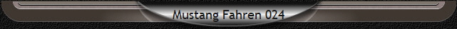 Mustang Fahren 024