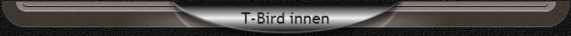 T-Bird innen